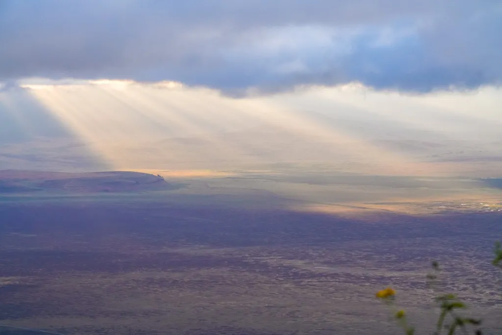 Serengeti Grand Safari