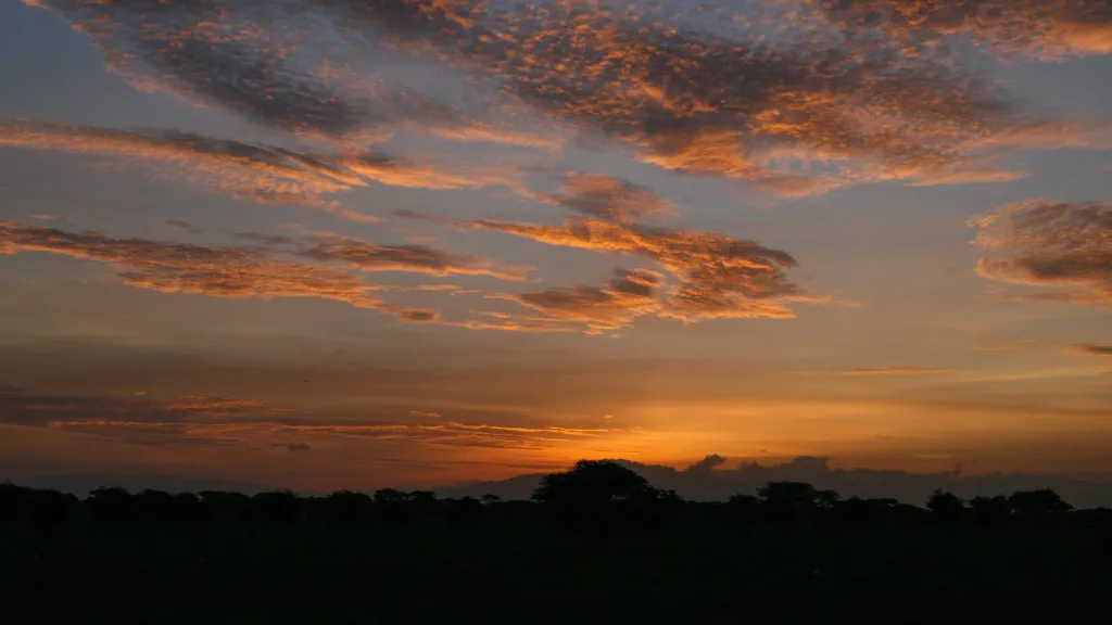 Southern Serengeti Safari