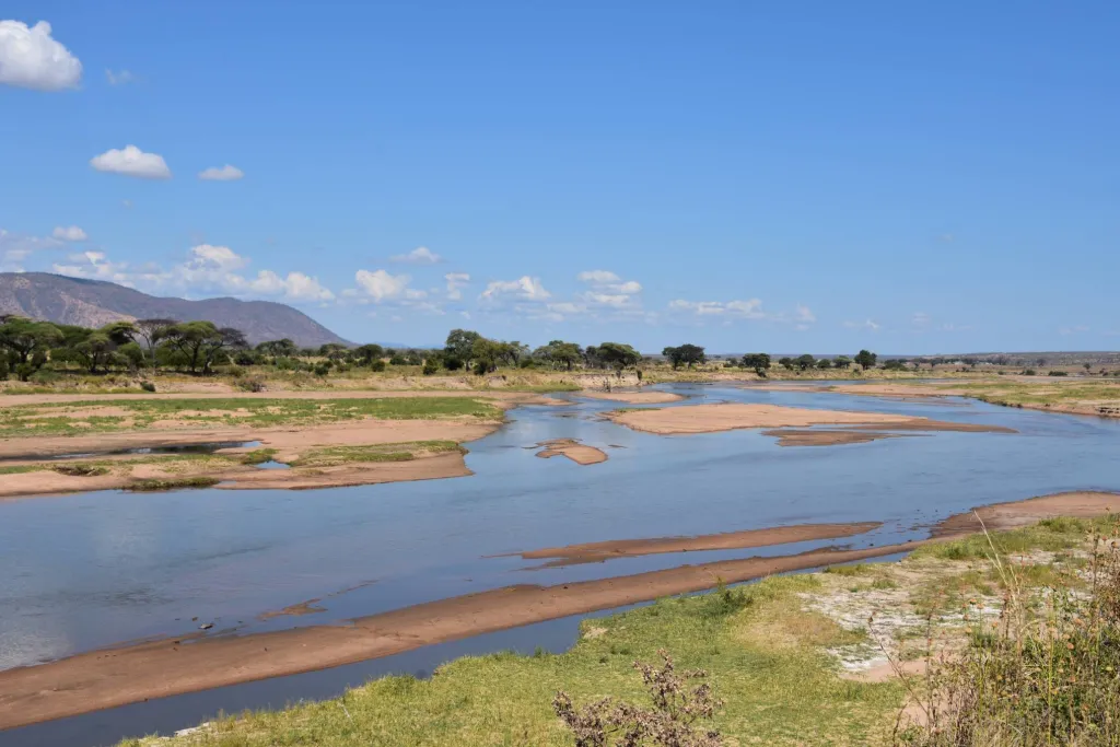 Southern Tanzania Big Five
