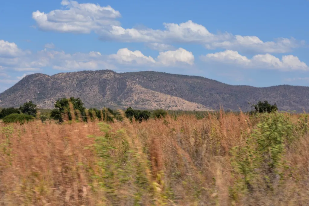 Southern Tanzania Wilderness