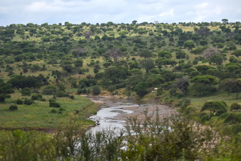 Tanzania Grand Safari