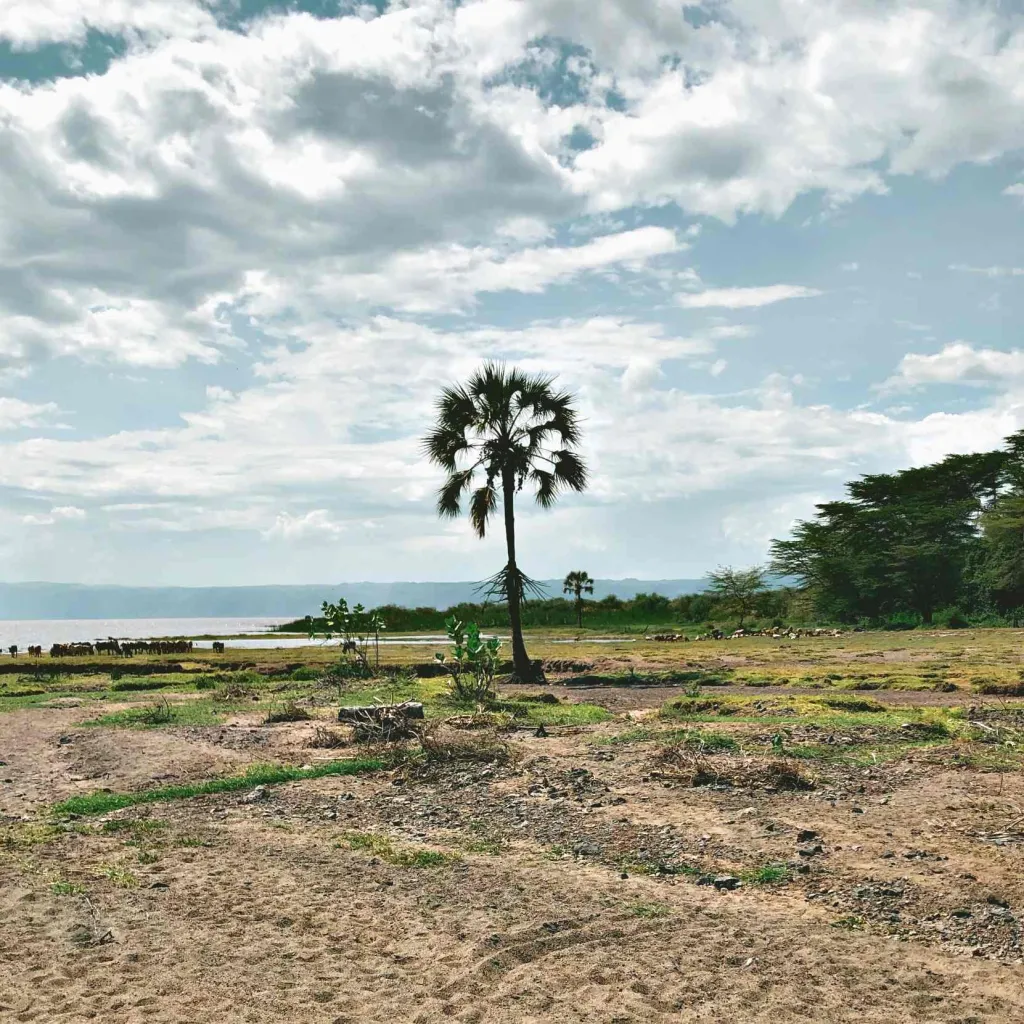 Wildlife Culture Tanzania