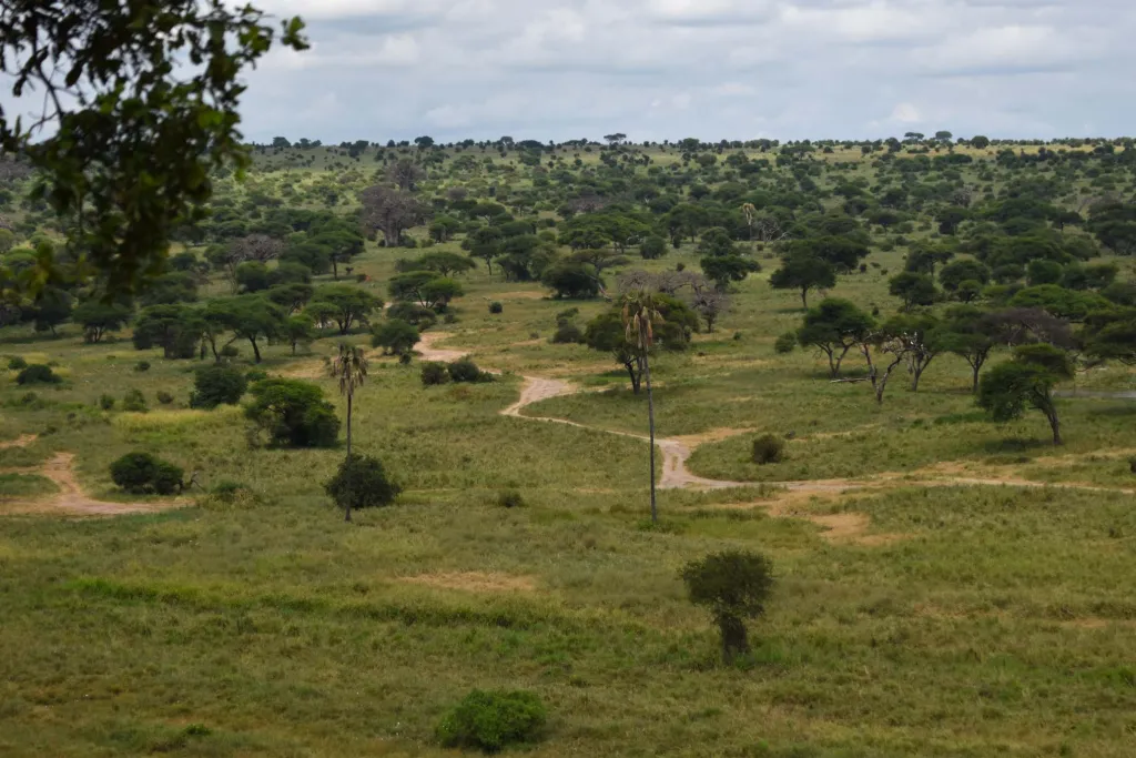 Northern Safari Circuit