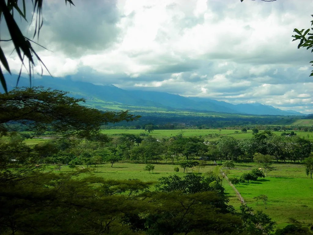 Llanos Wildlife
