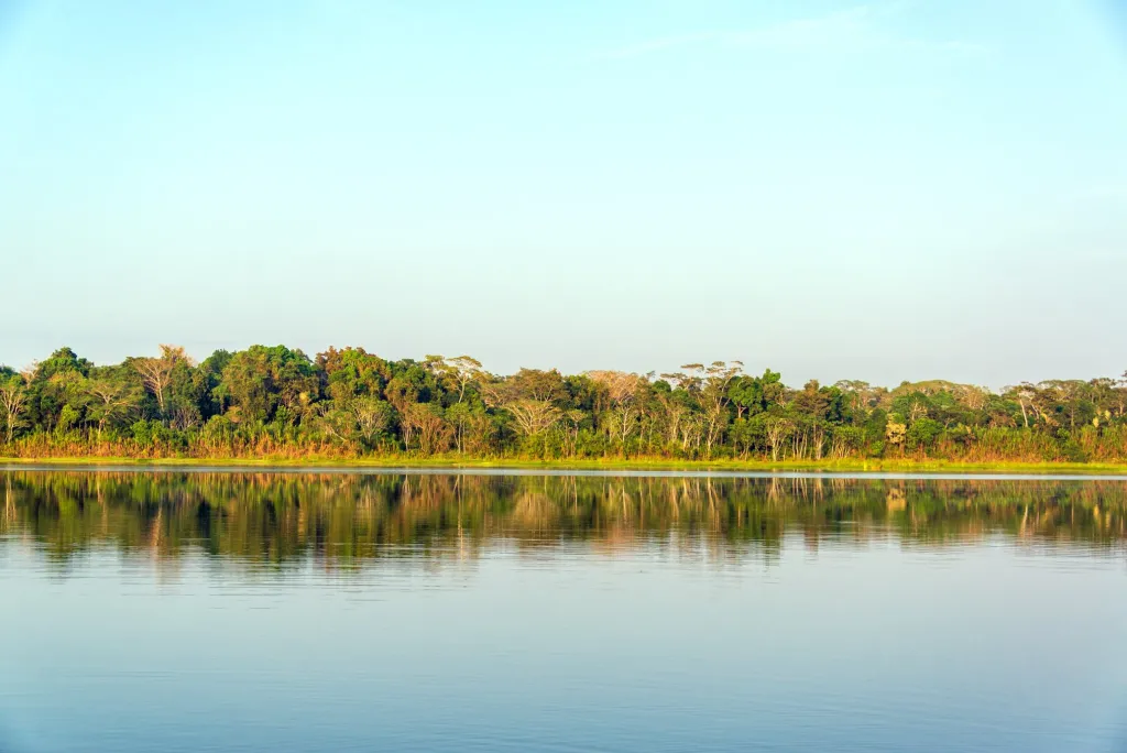 Madidi Pampas