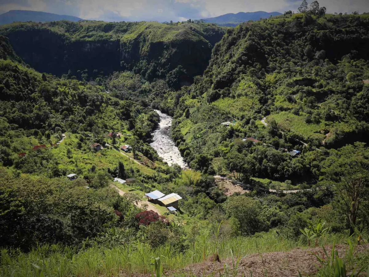 Río Claro Nature Reserve — magdalena rainforest.