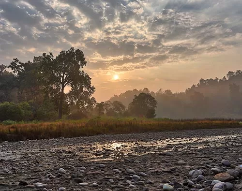 The Ganga emerging from forested foothills near Haridwar.