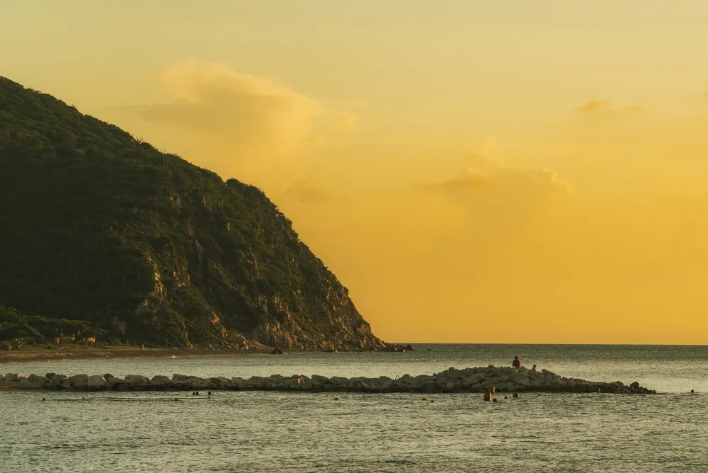 Santa Marta Endemics