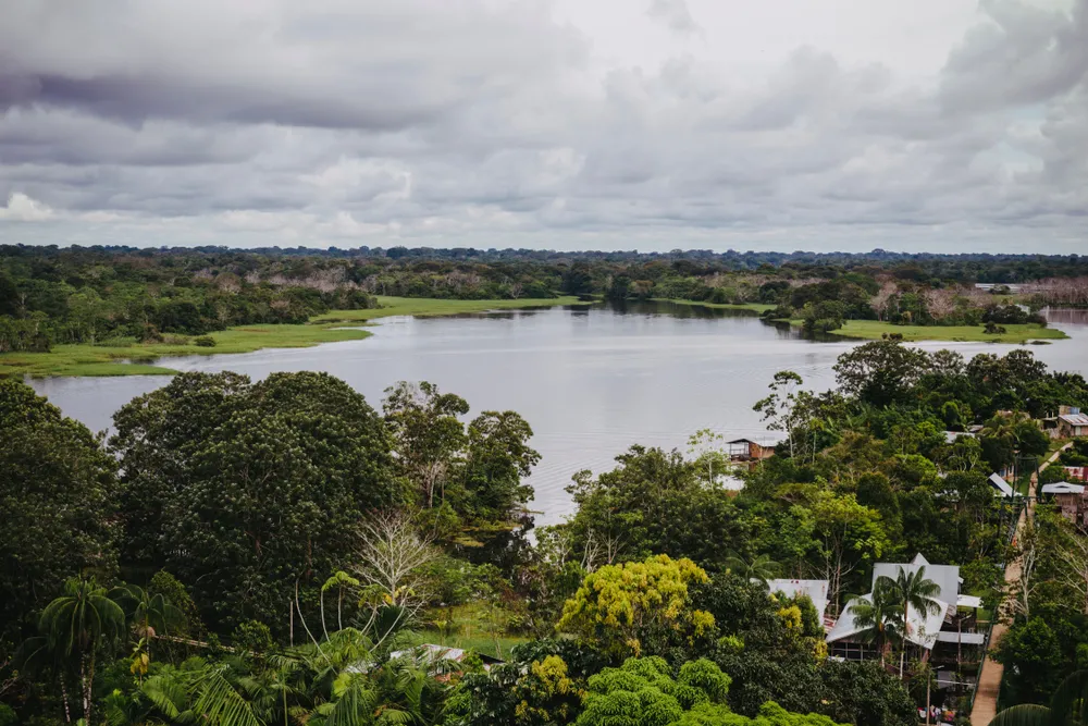 Ultimate Colombia Wildlife