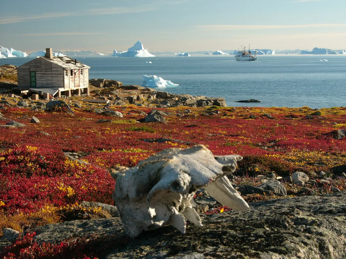 Scoresby Sund