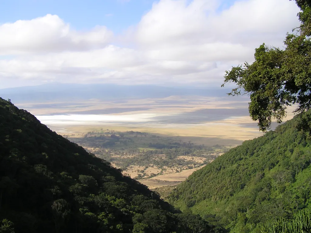 Great Plains of Tanzania