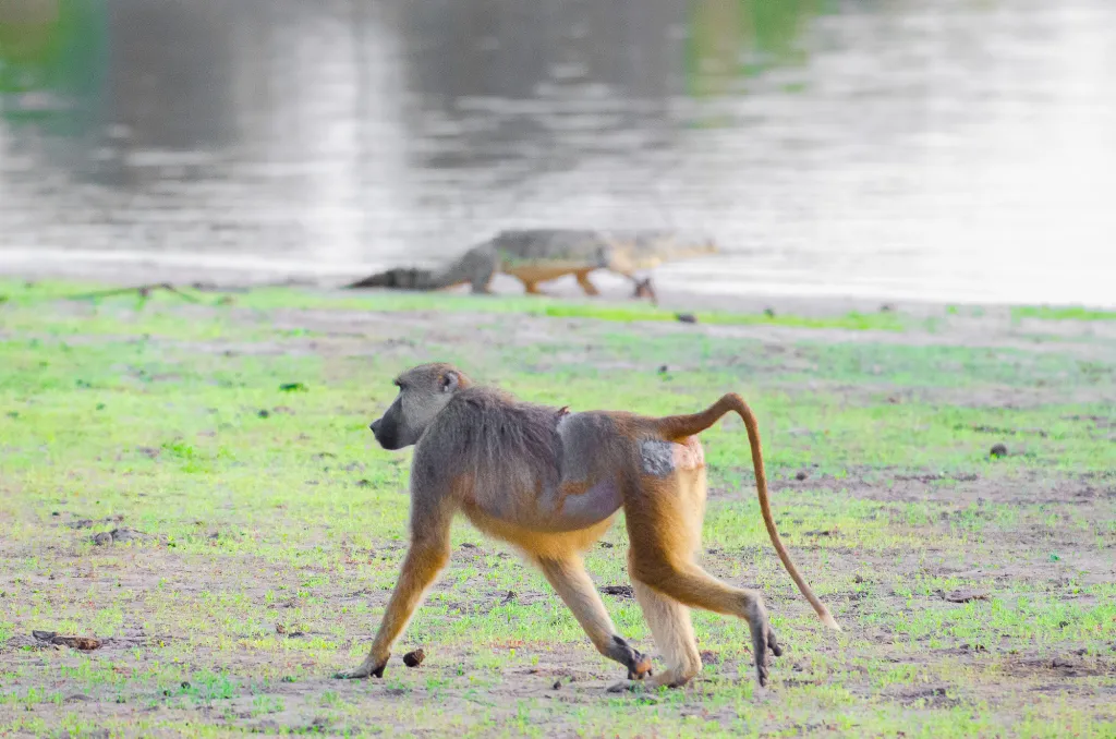 Remote Tanzania Expedition