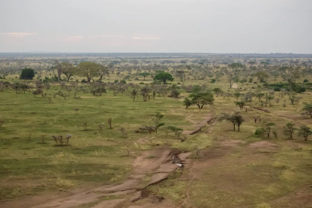Serengeti in Full
