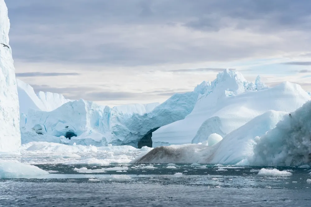Giant icebergs drifting from the Ilulissat Icefjord.
