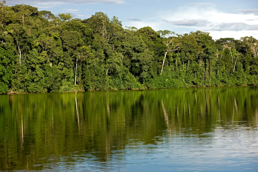 Manu National Park — the greatest biodiversity.