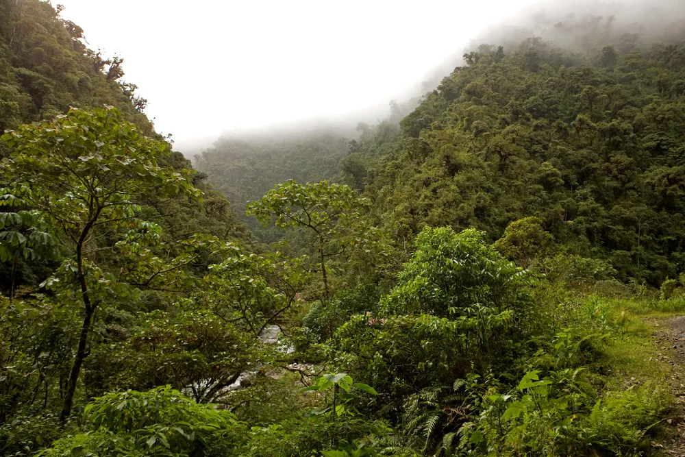 machu-picchu-manu