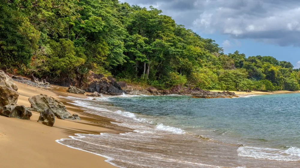 Forest-and-reef
