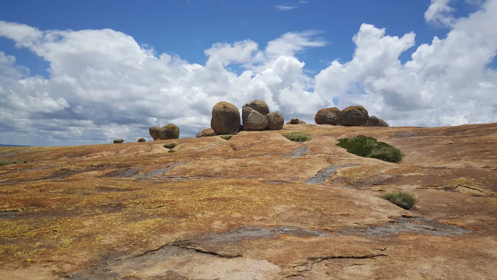 Rhino tracking walk