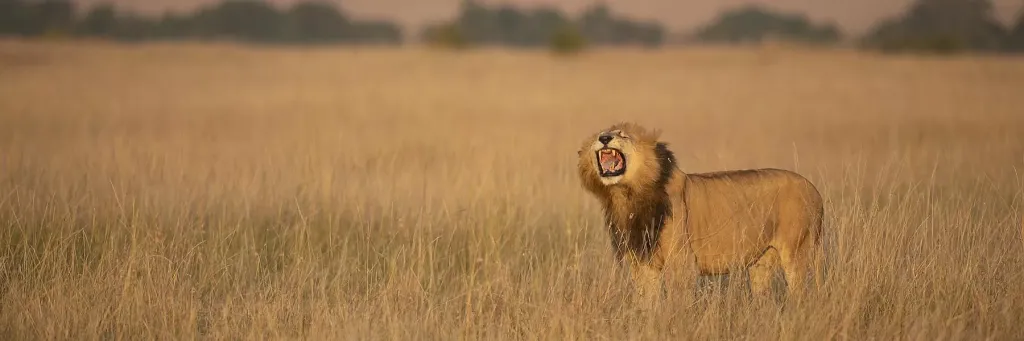 Tanzania End to End