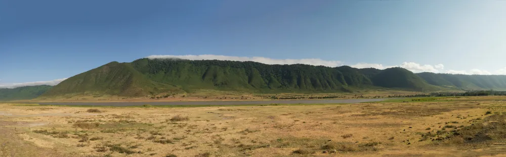 The Great Migration Safari