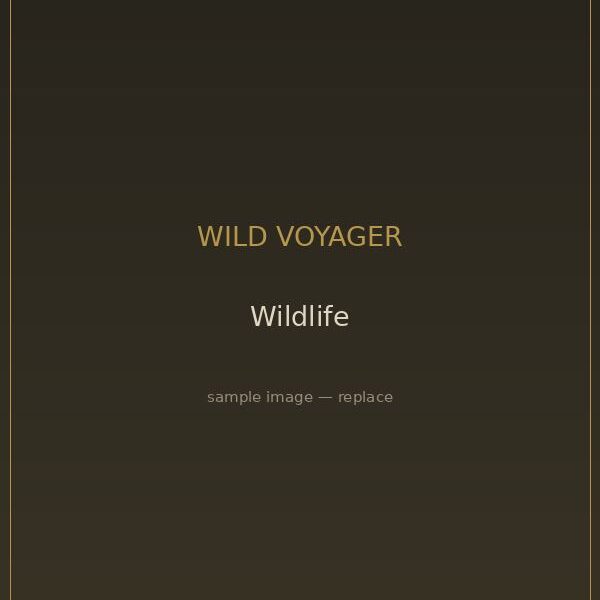 Life in a Mobile Safari Camp