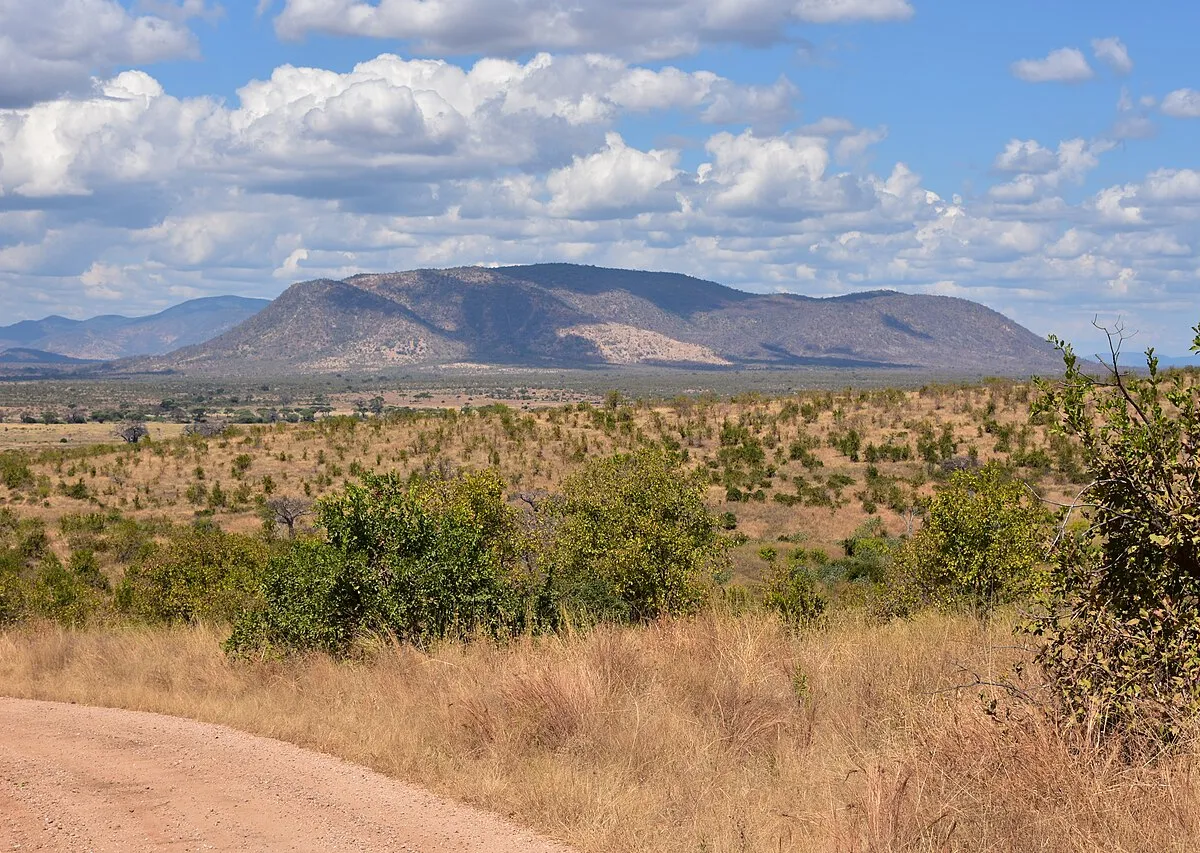 Sand-river game drives