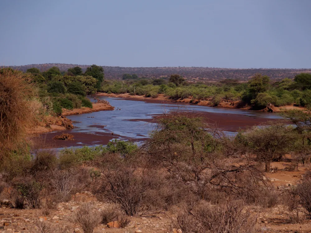 Birding Kenya