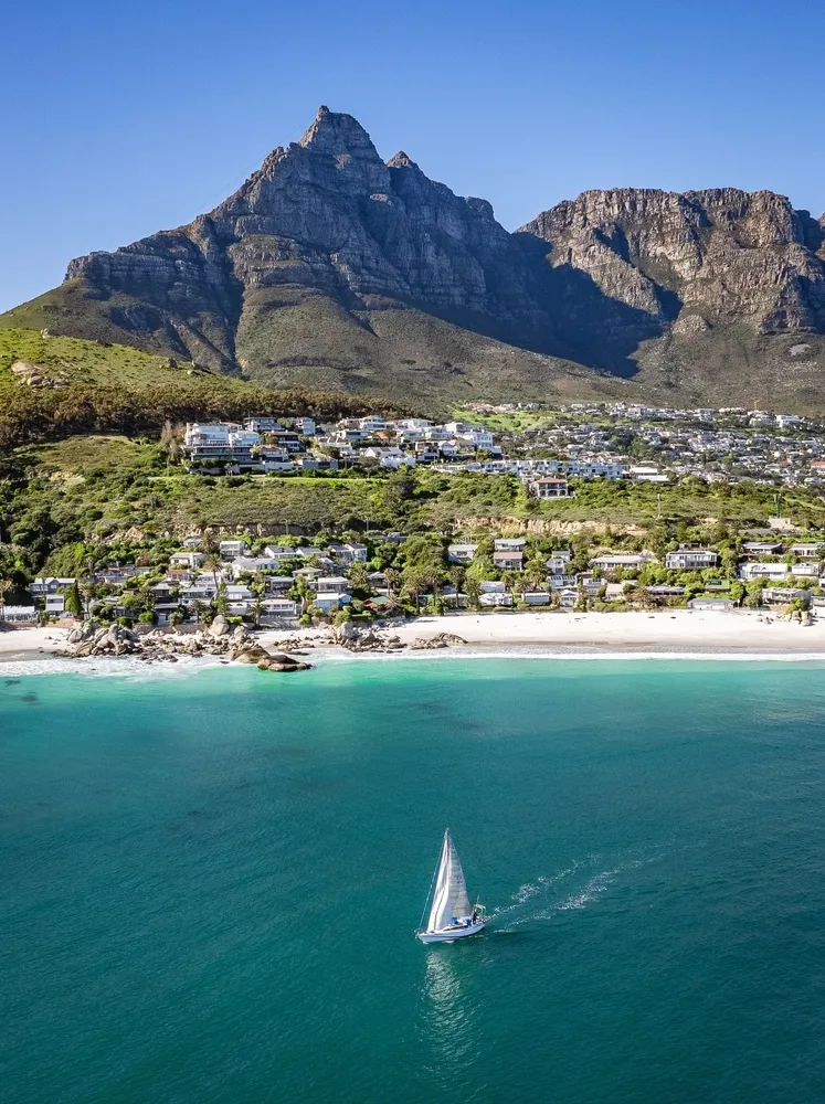 cape-wildlife-and-whales
