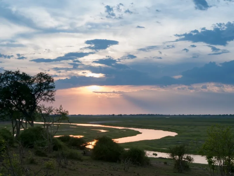 Elephants gathering at a Linyanti lagoon in the dry season.