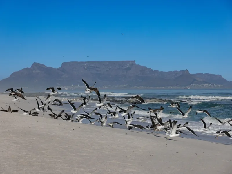 The Garden Route
