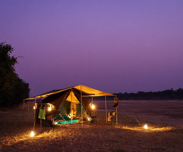 Bush-camp nights