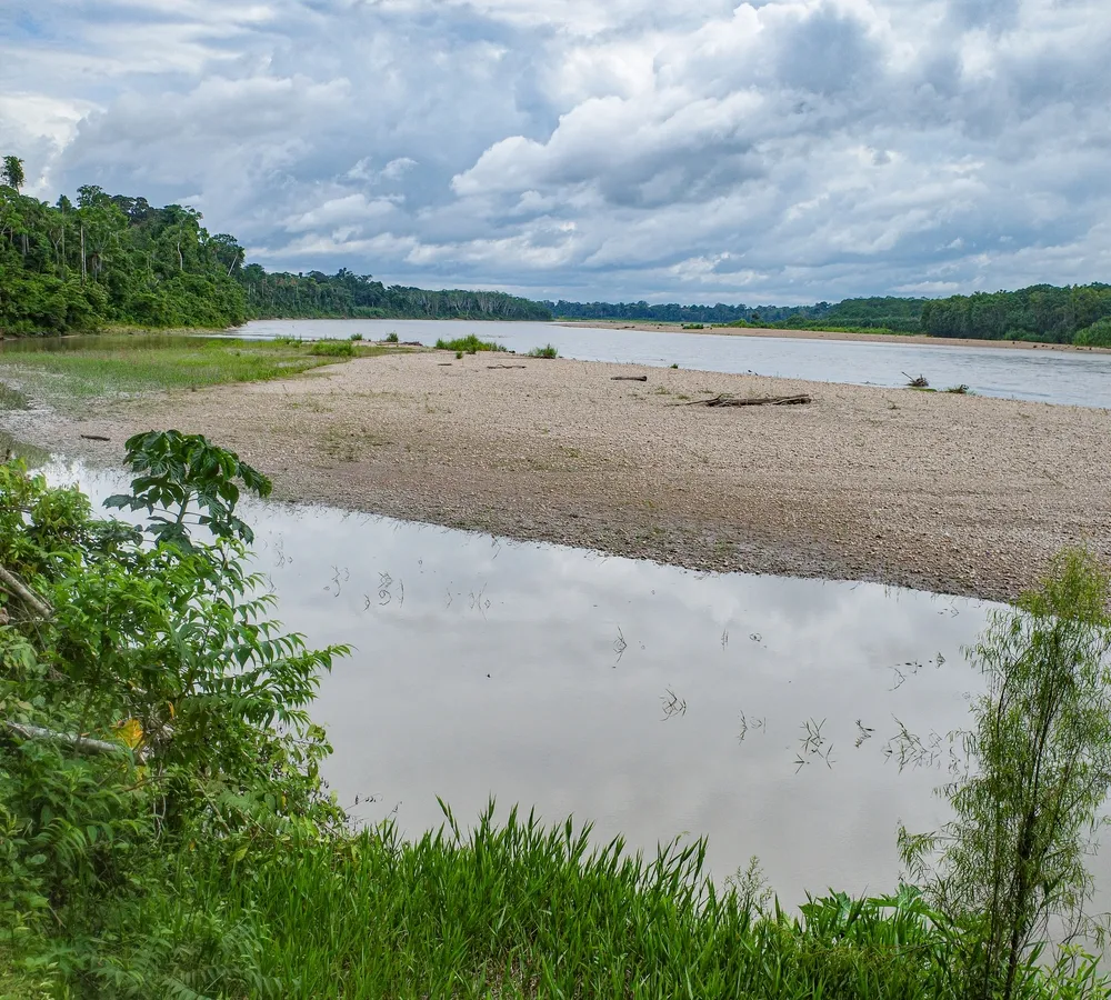 Tambopata National Reserve — macaw clay licks.