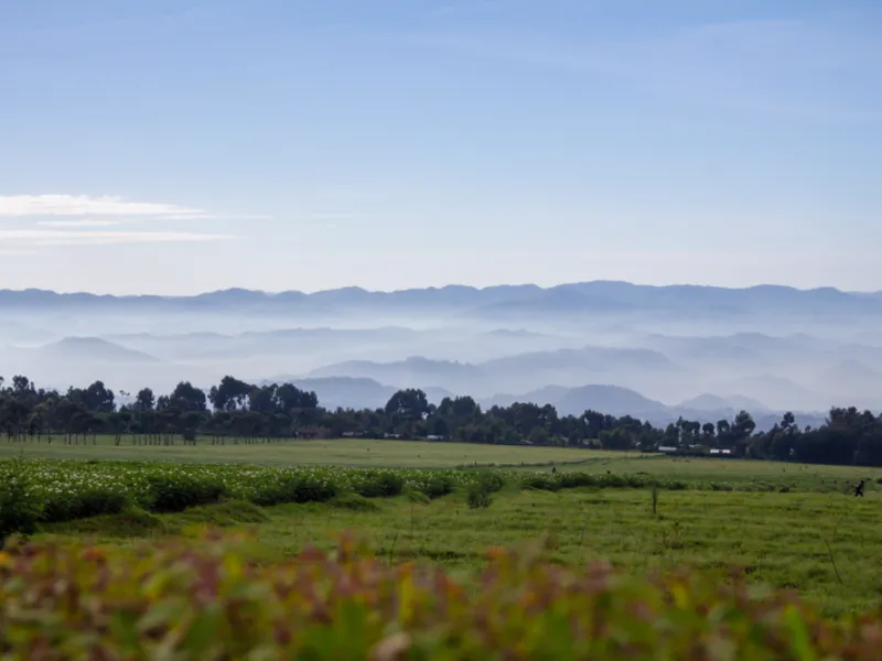Virunga volcanoes