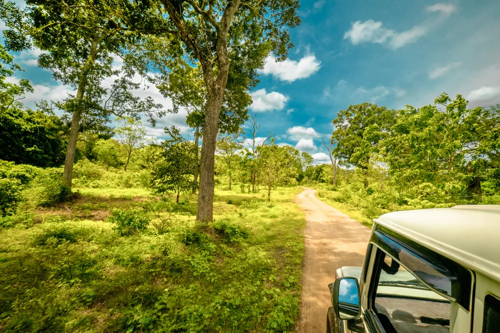 Yala National Park — national park.