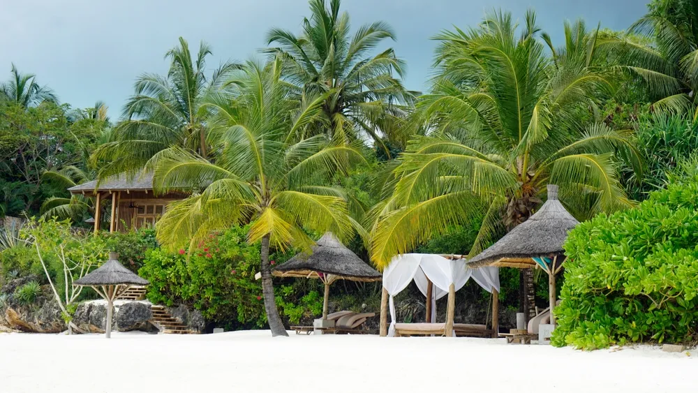 Safari Indian Ocean
