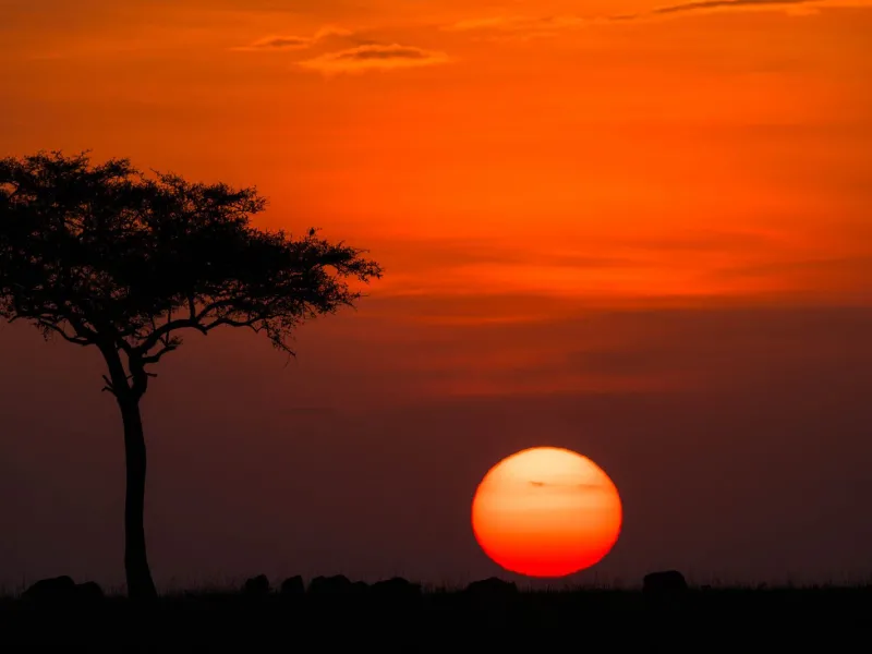 First time safari guide