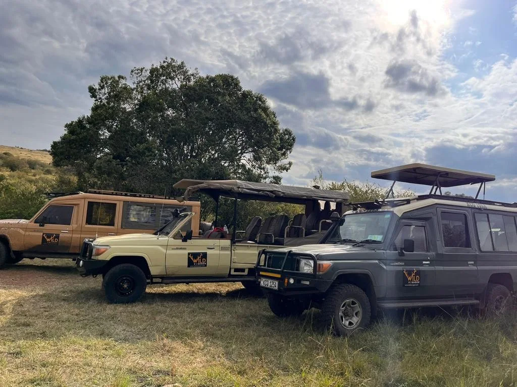 The vehicles, and the open air