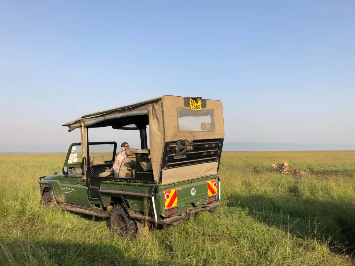 What the Cheapest Safari Actually Costs You