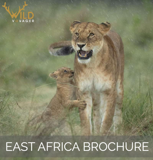Africa brochure