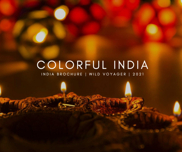 India brochure