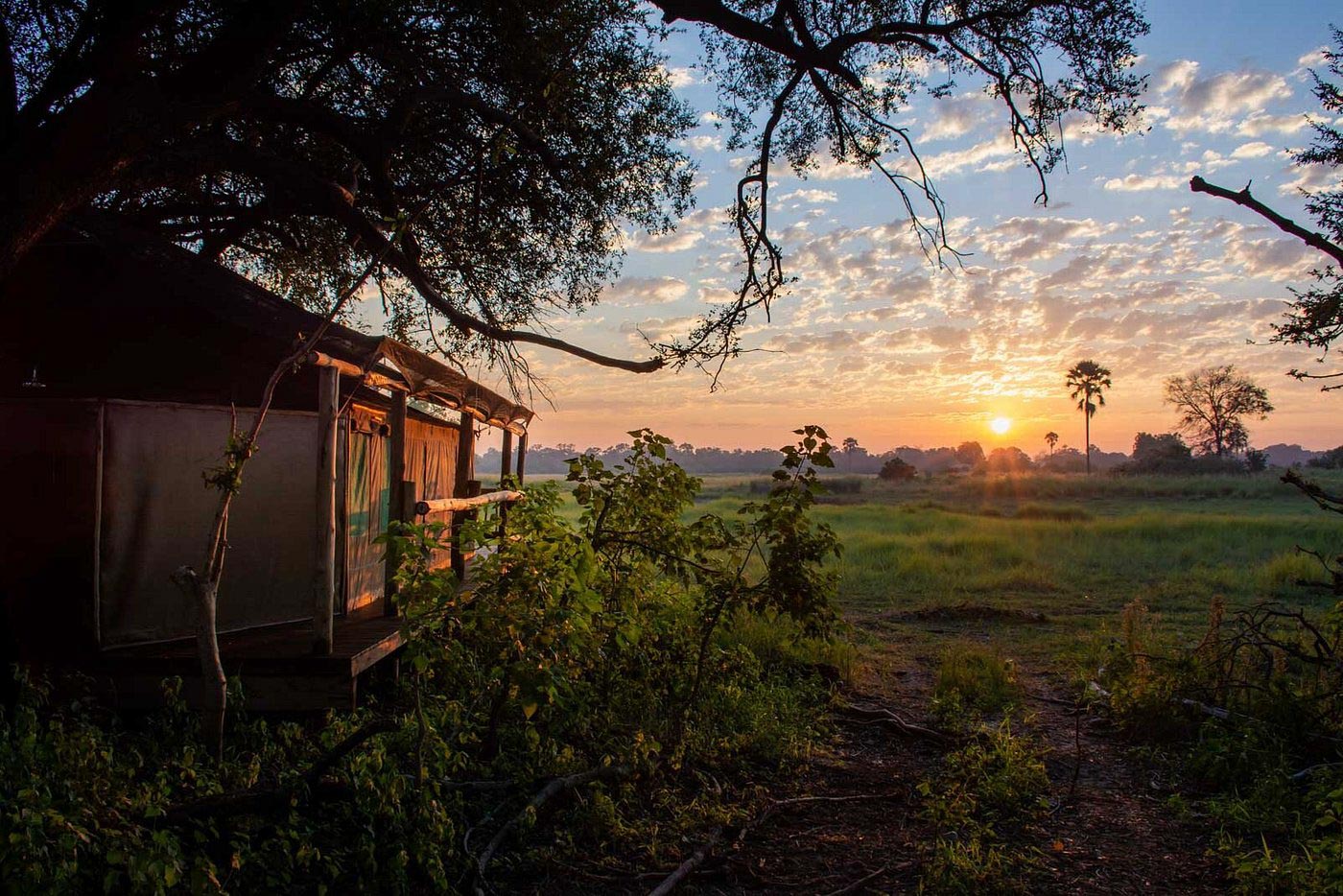 Moremi Crossing