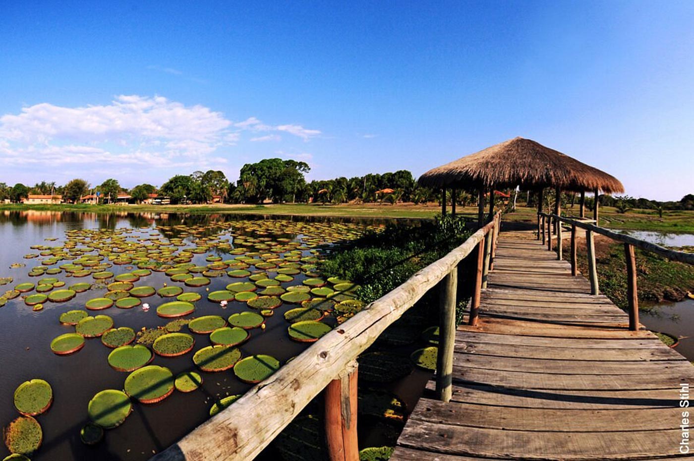 Hotel Pantanal Norte