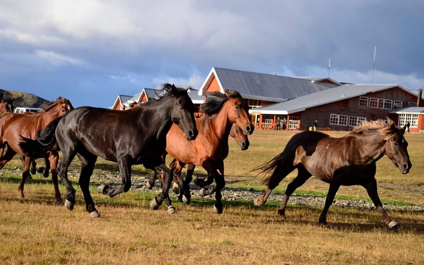 Hotel Las Torres Patagonia