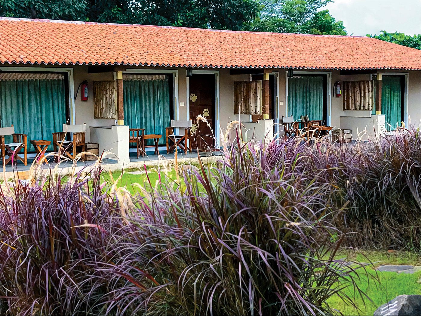Asiatic Lion Lodge