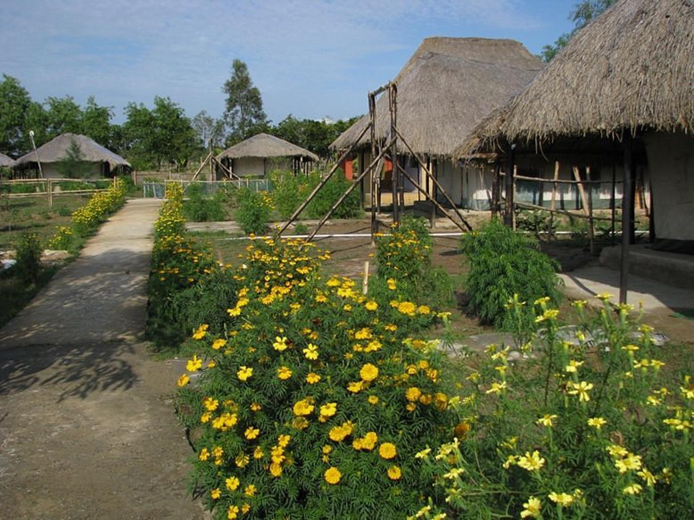 Estuarine Village
