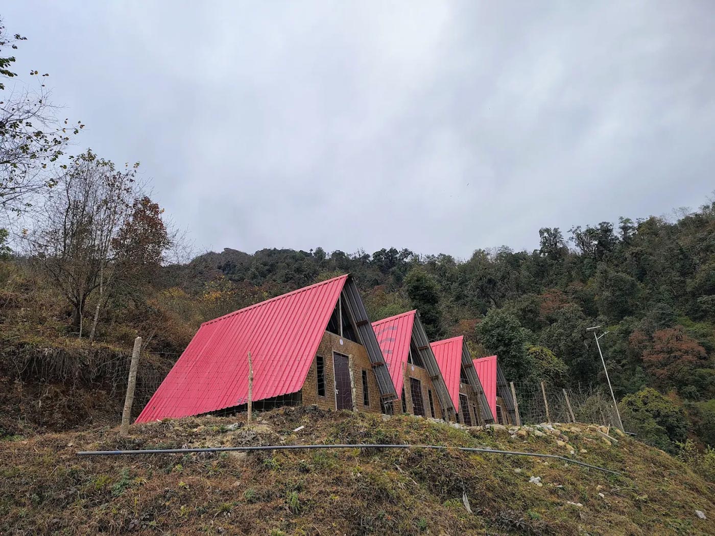 Lama Camp