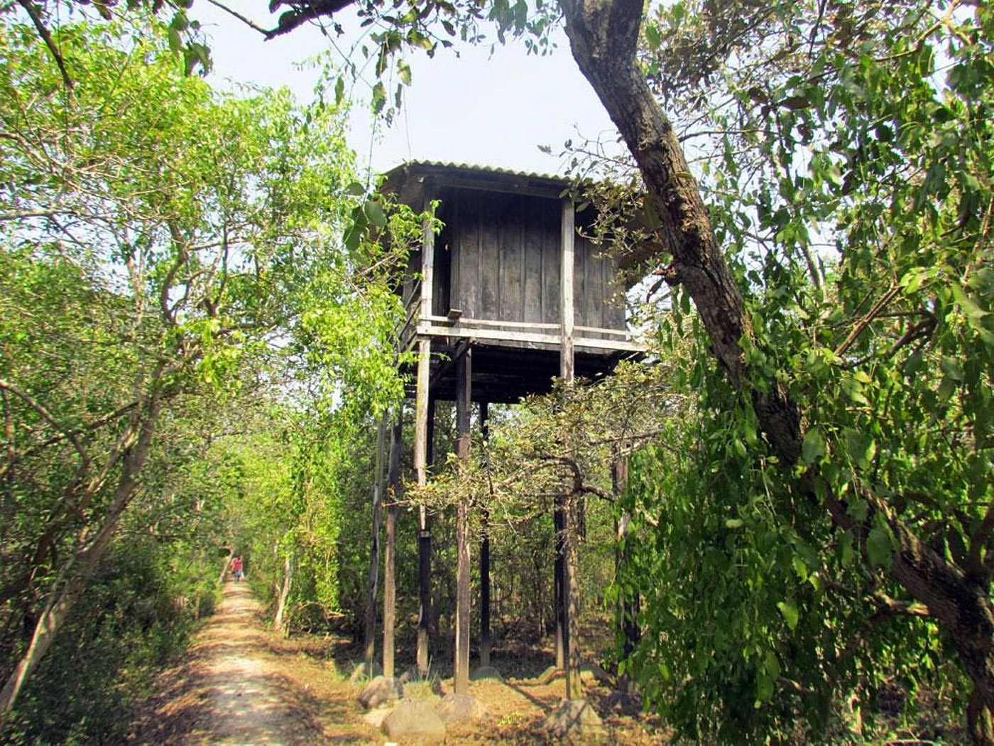 Sand Pebbles Jungle Lodge