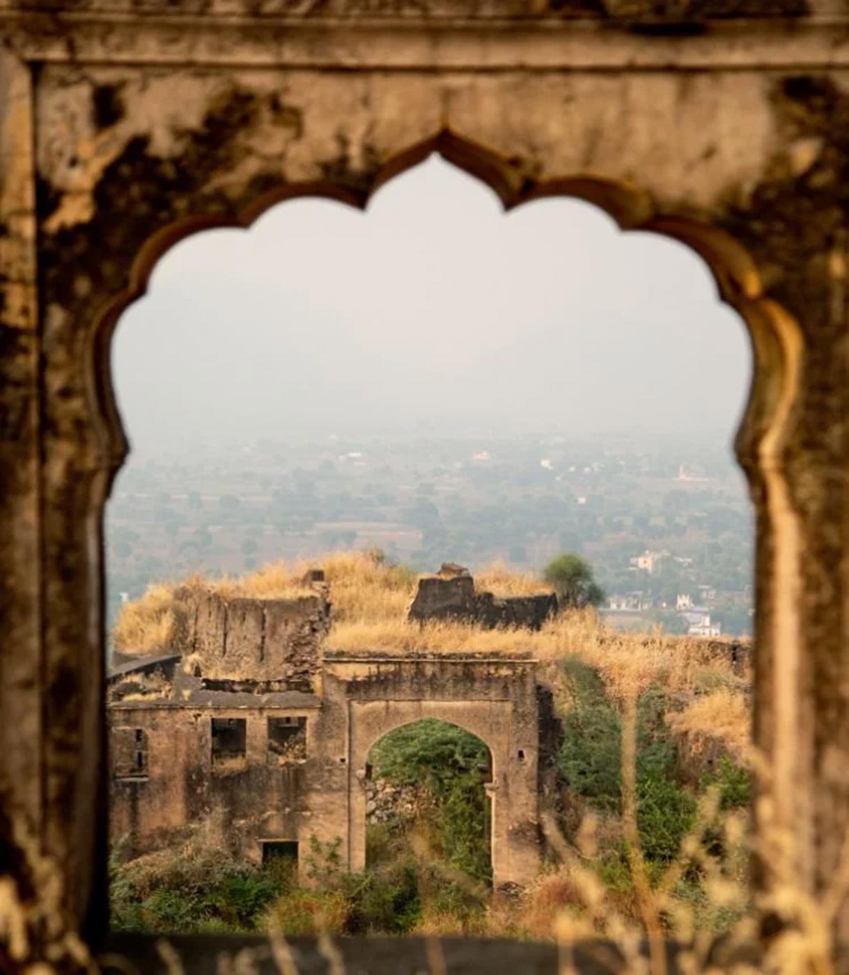 Sariska Lodge