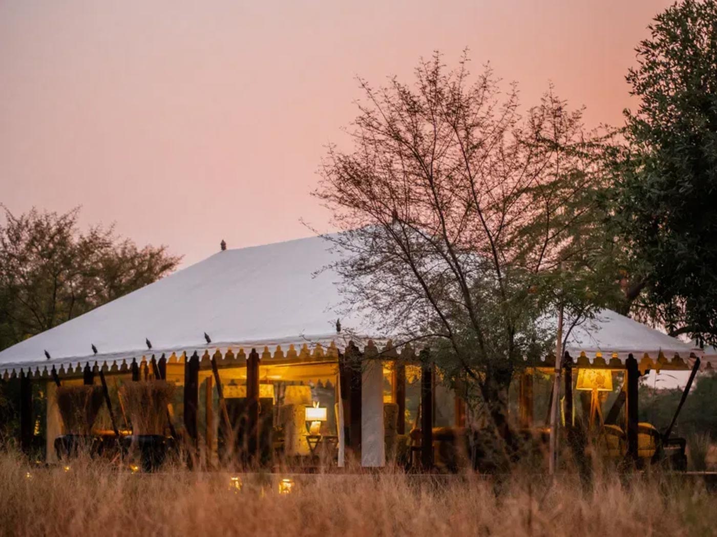 The Blackbuck Lodge