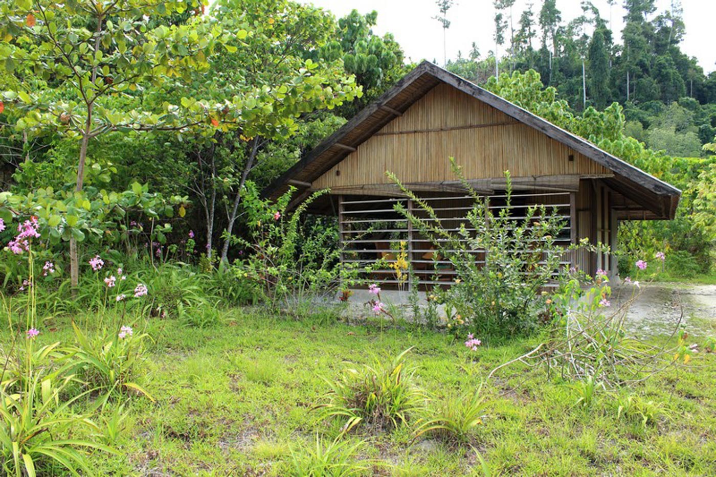 Weda Resort